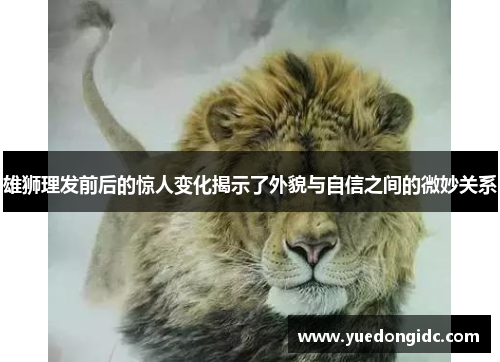 雄狮理发前后的惊人变化揭示了外貌与自信之间的微妙关系