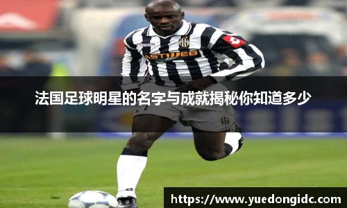 法国足球明星的名字与成就揭秘你知道多少